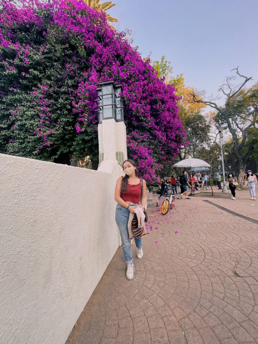 annabelle standing in front of purple flowers in Mexico City